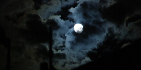 smallnympho onlyfans leaked picture 2