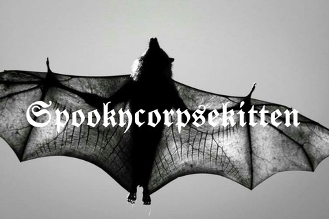 spookycorpsekitten onlyfans leaked picture 2