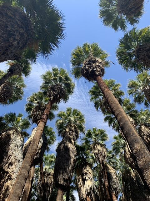 supremeandred onlyfans leaked picture 2