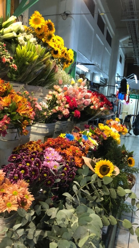 sweet_girl_soft_vibes onlyfans leaked picture 2