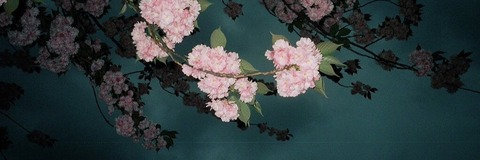 tatumchristinetv onlyfans leaked picture 2