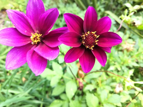 thelifeofb onlyfans leaked picture 2