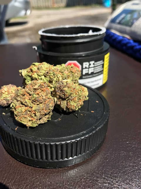 tokkiethehuman onlyfans leaked picture 2