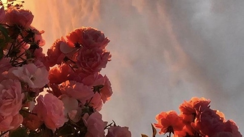 tothehampton onlyfans leaked picture 2