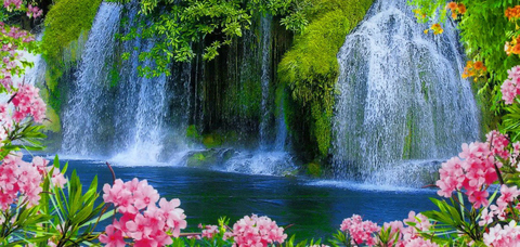 transgoddess4 onlyfans leaked picture 2