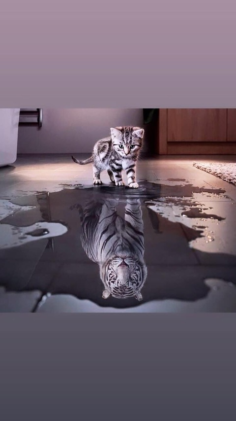 travisthedon onlyfans leaked picture 2