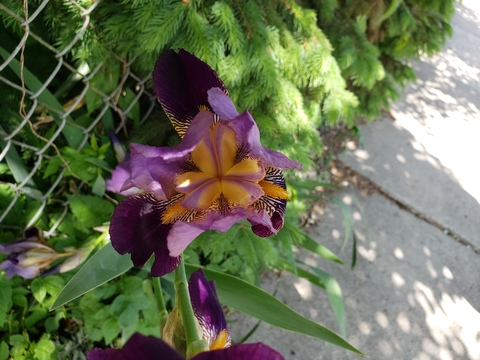 tsren onlyfans leaked picture 2