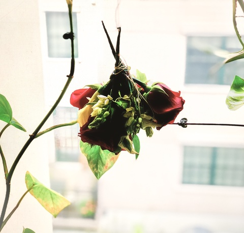 wbwilderxxx onlyfans leaked picture 2