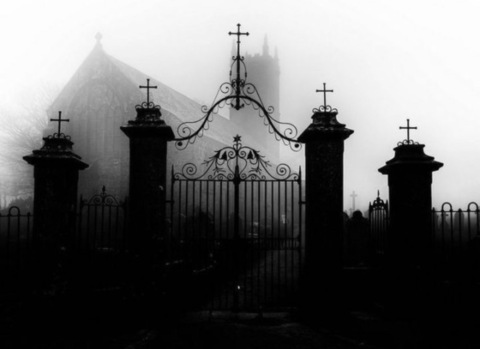 xenasins onlyfans leaked picture 2