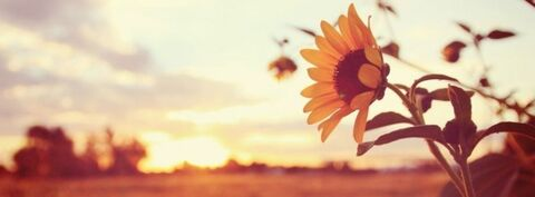 your_side_chick onlyfans leaked picture 2