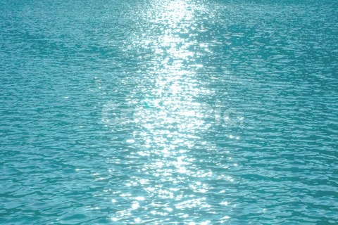 ywhy2021 onlyfans leaked picture 2